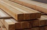 купить брус из лиственницы в спб